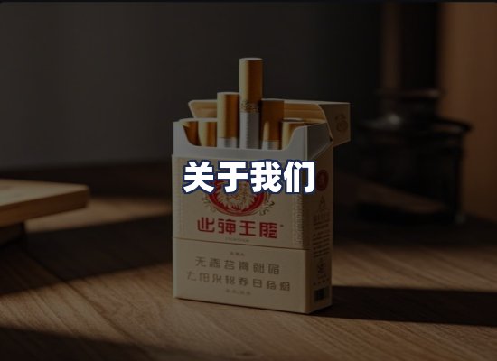 关于我们